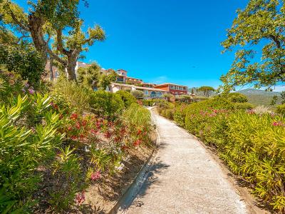 For sale Grimaud 2 rooms 31 m2 Var (83310) photo 2