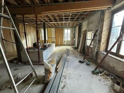 Annonce Vente Immeuble Brienon-sur-armancon 89