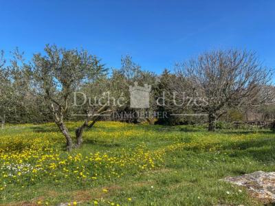 Acheter Maison 145 m2 Uzes
