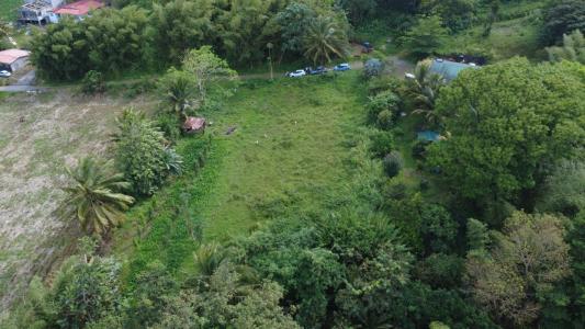 Acheter Terrain Basse-pointe 140000 euros