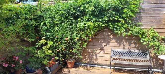 For rent Begles 3 rooms 80 m2 Gironde (33130) photo 3