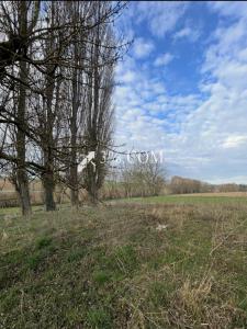 Annonce Vente Terrain Truchtersheim 67