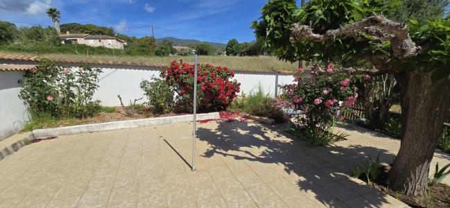 Annonce Location 2 pi�ces Appartement  20