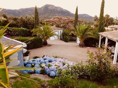 Annonce Vente 6 pi�ces Maison Sainte-lucie-de-porto-vecchio 20