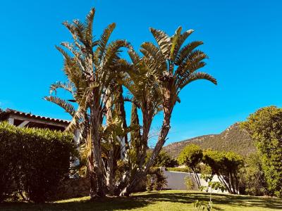 Acheter Maison Sainte-lucie-de-porto-vecchio 1098000 euros