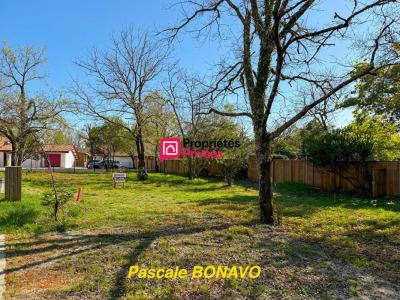 For sale Hourtin 732 m2 Gironde (33990) photo 2