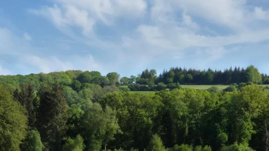 For sale Plourin-les-morlaix 5 rooms 149 m2 Finistere (29600) photo 4