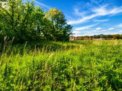 Annonce Vente Terrain Saint-romans 38