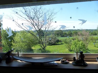 Acheter en viager Maison Saint-amand-en-puisaye Nievre