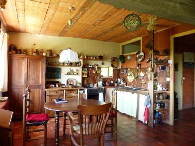 Acheter en viager Maison Saint-amand-en-puisaye 18500 euros