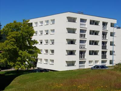 Louer Appartement 77 m2 Raon-l'etape