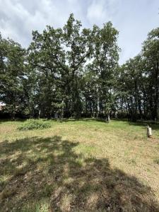 Annonce Vente Terrain Leguevin 31