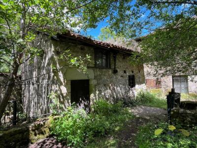 For sale Saint-leonard-de-noblat 600 m2 Haute vienne (87400) photo 4