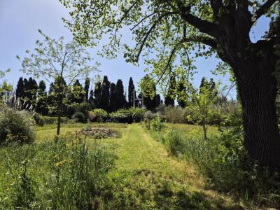 For sale Saint-remy-de-provence 1 room 5688 m2 Bouches du Rhone (13210) photo 2