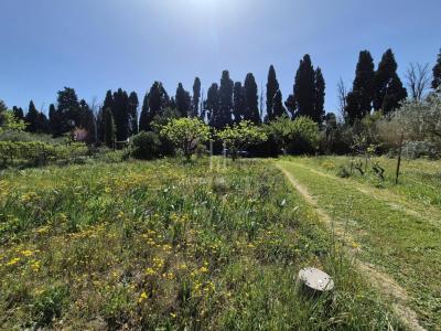 For sale Saint-remy-de-provence 1 room 5688 m2 Bouches du Rhone (13210) photo 4