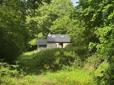 Annonce Vente Prestige Treignac 19