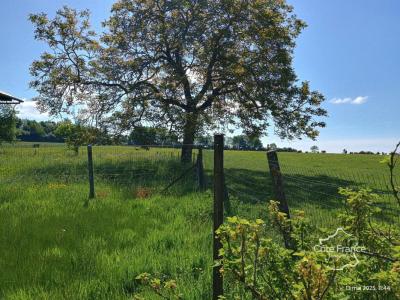Annonce Vente 7 pi�ces Maison Mont-saint-jean 02