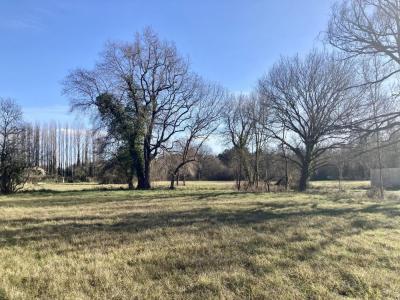 Annonce Vente Terrain Saint-laurent-medoc 33