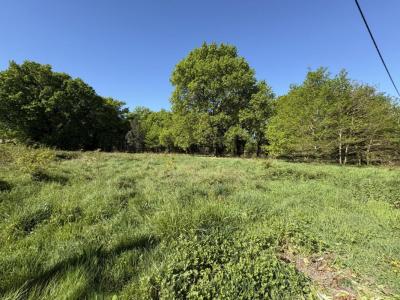 For sale Castelnau-de-medoc 1909 m2 Gironde (33480) photo 0