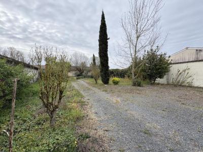 Annonce Vente Terrain Castelnau-de-medoc 33