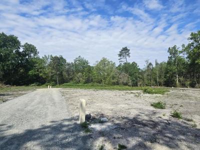 For sale Brede 1489 m2 Gironde (33650) photo 2