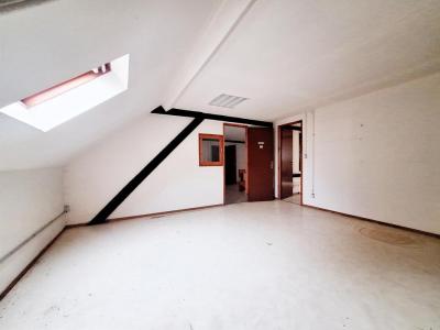 Acheter Local commercial 355 m2 Bischheim