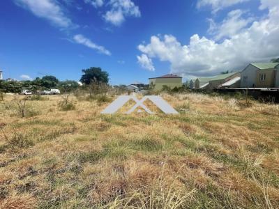 Annonce Vente Terrain Saint-louis 974