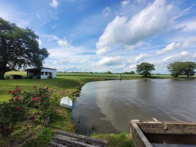 For sale Allier (03380) photo 1