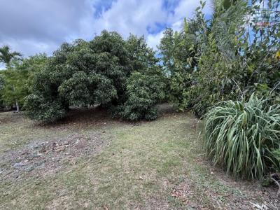 For sale Ravine-des-cabris Reunion (97432) photo 0