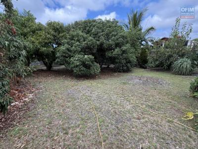 Annonce Vente Terrain Ravine-des-cabris 974