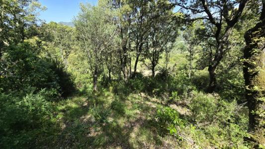 For sale Sartene 2032 m2 Corse (20100) photo 1