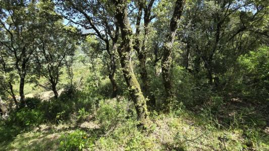 For sale Sartene 2032 m2 Corse (20100) photo 2