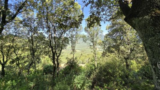 For sale Sartene 2032 m2 Corse (20100) photo 3