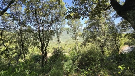 For sale Sartene 2032 m2 Corse (20100) photo 4