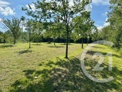 Acheter Terrain 3700 m2 Calotterie
