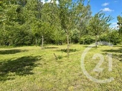 Acheter Terrain Calotterie 55000 euros