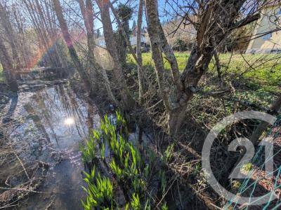 Acheter Terrain Saint-priest-taurion 39000 euros