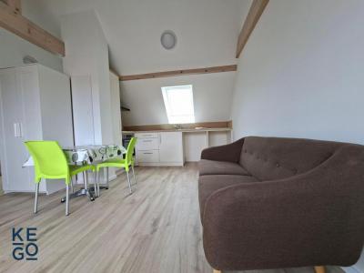 For rent Saverne 1 room 23 m2 Bas rhin (67700) photo 0
