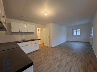 Annonce Location 2 pi�ces Appartement Bischwiller 67