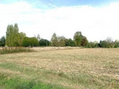 Acheter Maison Muret 290080 euros