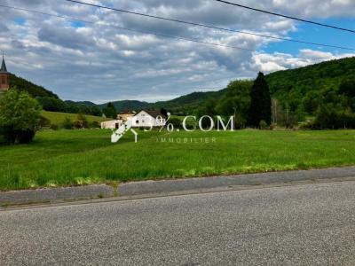 Annonce Vente Terrain Eguelshardt 57