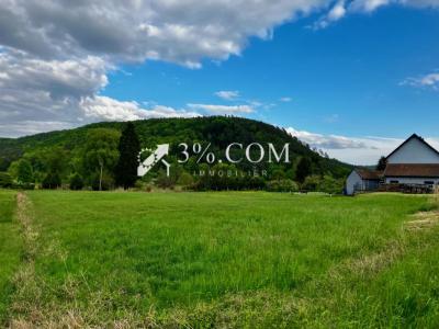 Acheter Terrain 2489 m2 Eguelshardt
