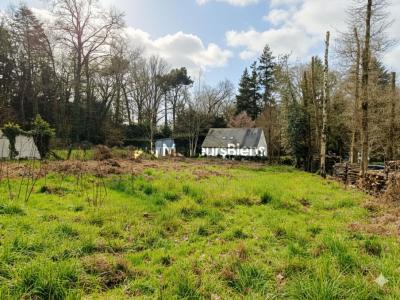 Annonce Vente Terrain Brulais 35