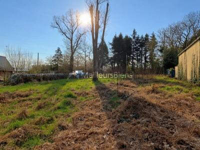 Acheter Terrain 1045 m2 Brulais