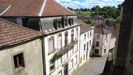 Annonce Vente Immeuble Bourbonne-les-bains 52