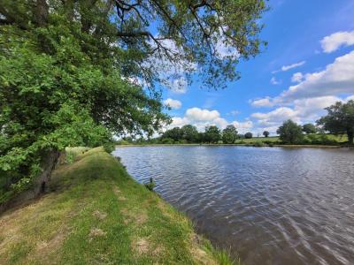 For sale Allier (03380) photo 4