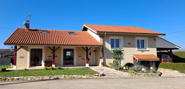 Annonce Vente 4 pi�ces Maison Meillonnas 01