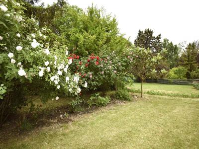 Annonce Vente 6 pi�ces Maison Montastruc 82