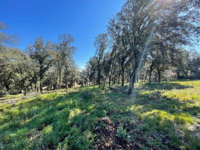 For sale Thoronet 2214 m2 Var (83340) photo 1