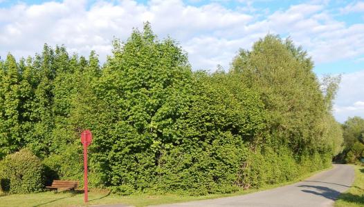 Annonce Vente Terrain Pont-remy 80